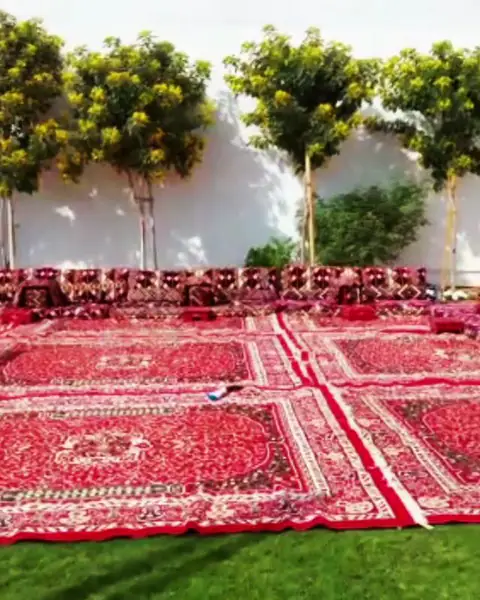 فرش أحمر مزخرف على عشب حديقة