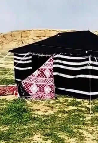 بيت شعر أسود بخطوط بيضاء على أرض عشبية