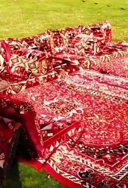 فرش أرضية ووسائد بنقوش حمراء على عشب أخضر