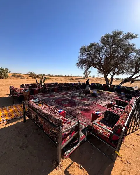 جلسات أرضية دائرية تحت شجرة في الصحراء