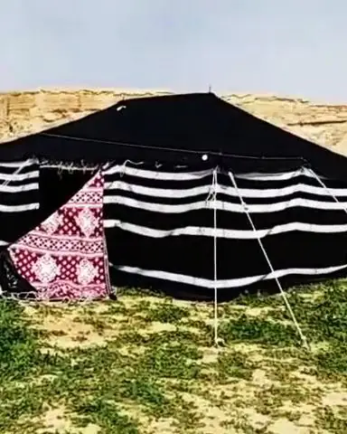 بيت شعر أسود بخطوط بيضاء على أرض عشبية